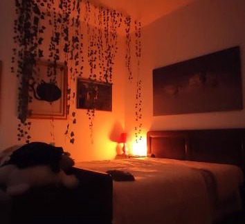 Drapia Apartment | Appartamento relax con giardino