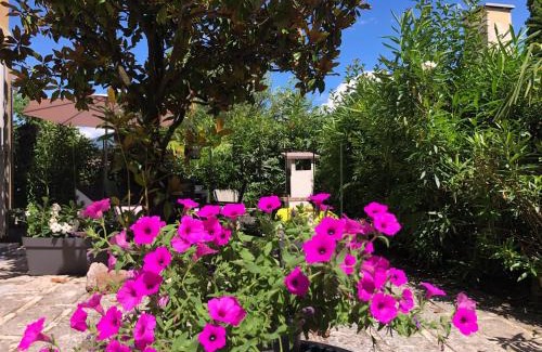 Riva del Garda House | Appartamento villatorretta24