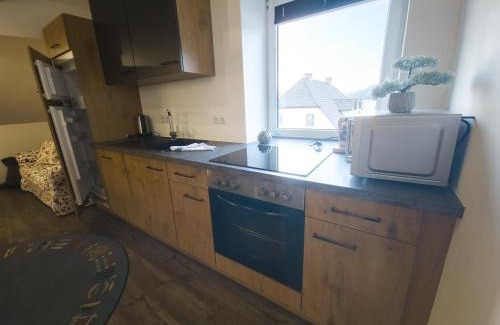 Sankt Lorenzen ob Murau Apartment | Appartement OTTL 3