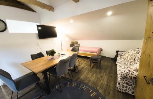 Sankt Lorenzen ob Murau Apartment | Appartement OTTL 3