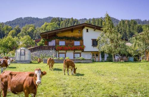 Hopfgarten im Brixental Apartment | Appartement Salvenblick