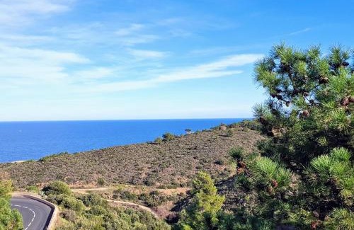 Banyuls-sur-Mer Apartment | Appartement à Banyuls-sur-Mer - Calme et Confort pour 4 Pers, Parking Inclus - FR-1-309-6
