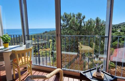 Banyuls-sur-Mer Apartment | Appartement à Banyuls-sur-Mer - Calme et Confort pour 4 Pers, Parking Inclus - FR-1-309-6