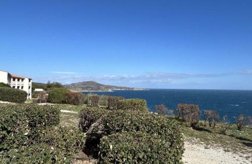 Banyuls-sur-Mer Apartment | Appartement 2 pièces avec terrasse, 4 couchages, parking, accès wifi - Banyuls-sur-Mer - FR-1-225C-139