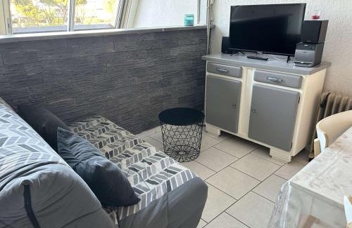 Le Grau-Du-Roi Apartment | Appartement 2 pièces cabine, piscine, parking, 5 couchages - Port Camargue - FR-1-250-234