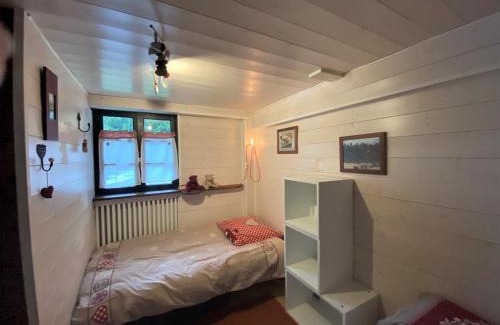 Les Prodains Apartment | Appartement 2 pièces, 5 min du téléphérique Avoriaz, navette gratuite, parking, jardin, services inclus - FR-1-754-41