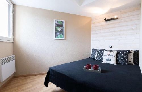 Pla d'Adet Apartment | Appartement 6 pers près pistes ski avec balcon, animaux admis à Saint-Lary-Soulan - FR-1-296-427