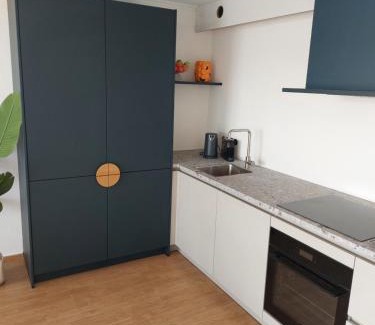 Westerland Apartment | Appartement Aemstelsigt