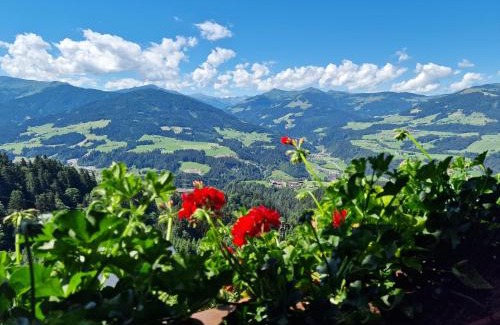 Hopfgarten im Brixental Apartment | Appartement Oberschernthann