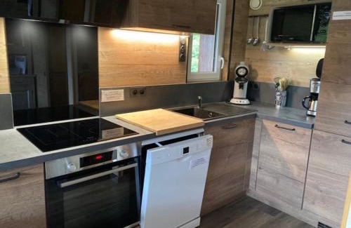 Le Chinaillon Apartment | Appartement au pied des pistes avec balcon ensoleillé - 2 ch, 2 sdb, accès rapide au centre village - FR-1-467-85
