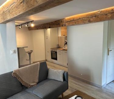 Sisteron Apartment | Appartement avec jacuzzi