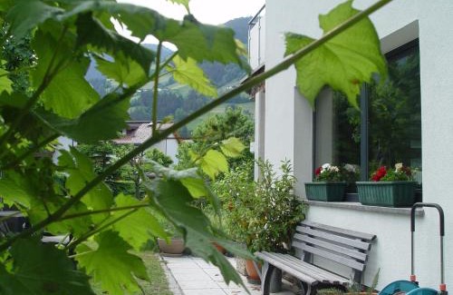 Ramsau im Zillertal Apartment | Appartement Birgla