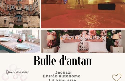 Castres Apartment | Appartement Bulle d'antan en cœur de ville - Monument classé historique - Grand Jaccuzi