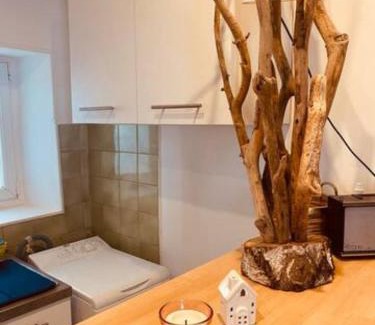 Millau Apartment | Appartement Centre ville