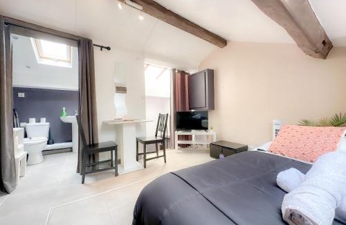 Meaux Apartment | Appartement Cerf4-Centre ville Meaux-Gare-Disney