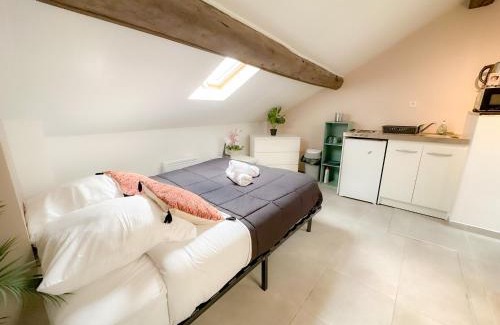 Meaux Apartment | Appartement Cerf4-Centre ville Meaux-Gare-Disney