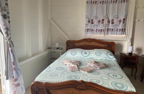 Riviere-Pilote Apartment | Appartement confortable à Rivière Pilote 42 m² avec vue