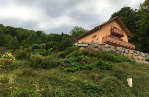 Travexin Apartment | Appartement confortable à Cornimont 30 m² vue montagne