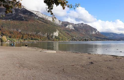 Annecy-le-Vieux Apartment | Appartement cosy à 5min du lac Albigny, proche commerces, parking inclus, animaux admis - FR-1-432-17