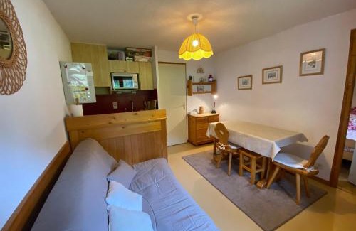 Chatel Apartment | Appartement cosy à Châtel - 4 pers, balcon, parking, proche télécabine, accès WIFI, animaux admis - FR-1-198-265