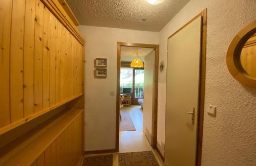 Chatel Apartment | Appartement cosy à Châtel - 4 pers, balcon, parking, proche télécabine, accès WIFI, animaux admis - FR-1-198-265