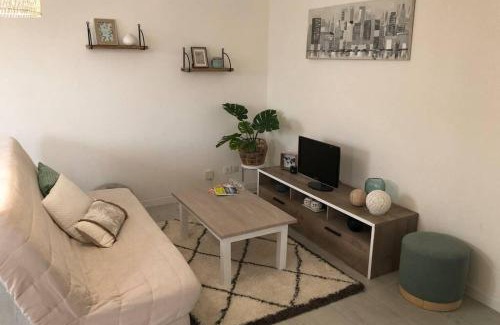 Blagnac Apartment | Appartement cosy avec jardin à Blagnac.