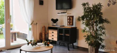 Chessy Apartment | Appartement Cosy - jardin Terrasse privée-Free parking 5MN DISNEY