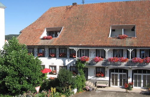 Uehlingen-Birkendorf Apartment | Appartement 1 mit Dusche/WC, Kochnische und Balkon