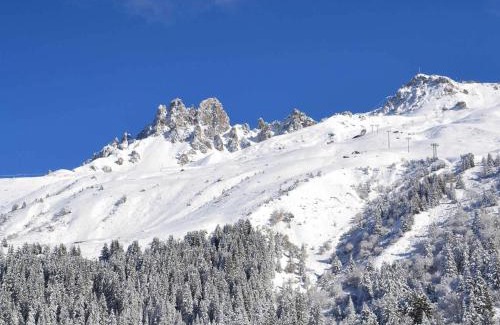 Meribel-Mottaret Apartment | Appartement de charme 3 pièces, idéal famille, Méribel, accès pistes, wifi, 6 pers - FR-1-182-184