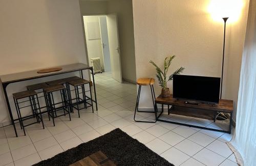 Portet-sur-Garonne Apartment | Appartement deux chambres jardin parking
