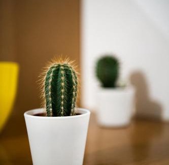 Nimes City Centre Apartment | Appartement Denim
