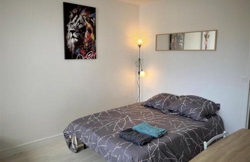 Limoges Apartment | Appartement double 13 à Limoges