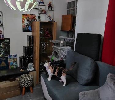 Centre Apartment | Appartement duplex indépendant de 46m2