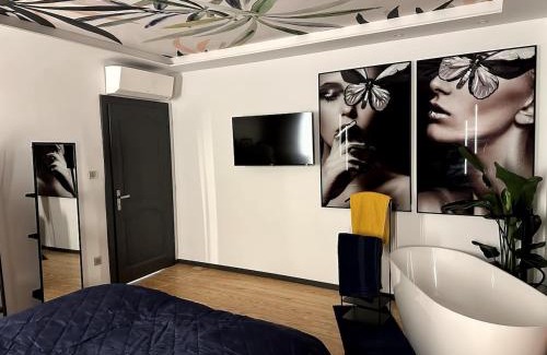 Bischheim Apartment | Appartement fabuleux 100 m2 parking privatif entièrement climatisé