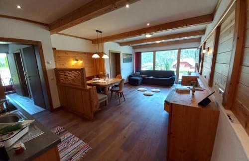 Haus im Ennstal Apartment | Appartement Gipfelsturm