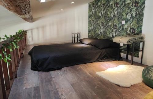 Nimes City Centre Apartment | Appartement Jungle climatisé Centre Ville
