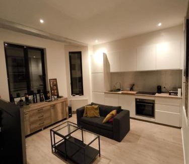 Quartier Saint-Gery - Sint-Gorikswijk Apartment | Appartement LA BOURSE