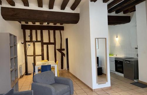 Auxerre Apartment | Appartement Le Coche d'Eau Auxerre Les Quais