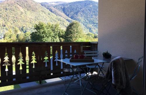 Bagneres-de-Luchon Apartment | Appartement Les Pics d'Aran