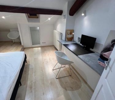 Saint Nicolas - Charles III - Ville vieille - Trois Maisons - Leopold Apartment | Appartement LesTiercelins