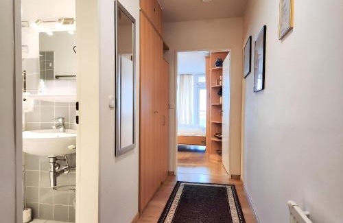 Geyersberg Apartment | Appartement Martin mit Wellnessbereich