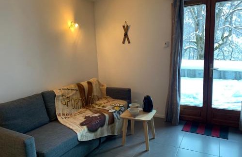 Vaujany Apartment | Appartement Matiski