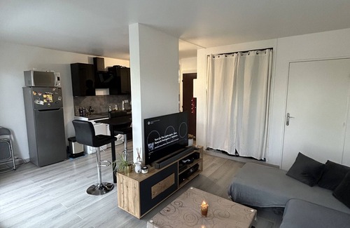 Joinville-le-Pont Apartment | Appartement Proche Paris , Proche JO, en Face le Bois de Vincennes