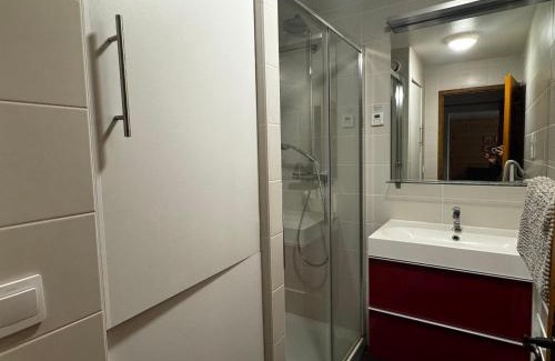 Les Carroz-d'Araches Apartment | Appartement rénové 2 pièces, 6 pers, pieds des pistes, balcon est, proche commerces - FR-1-572-9