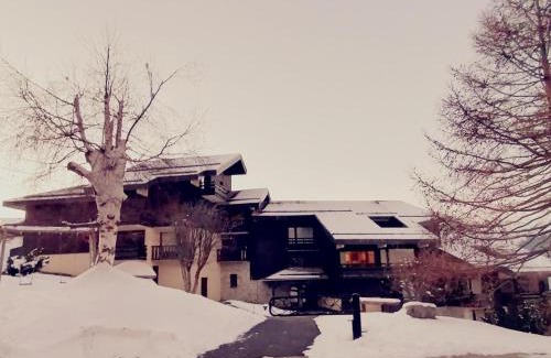 Montalbert Apartment | Appartement Rénové, Accès Direct aux Pistes, Balcon, Parking Gratuit, 5 Pers. - FR-1-181-2473
