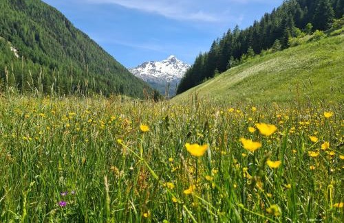 Soelden Apartment | Appartement Skorpion