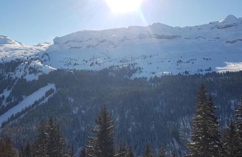 Flaine Apartment | Appartement spacieux avec accès direct aux pistes, piscine, spa et WIFI – Flaine Montsoleil - FR-1-425-120