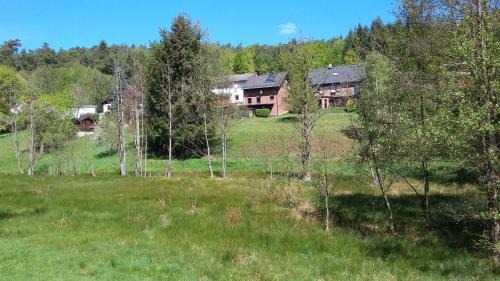 Mossautal Apartment | Appartement Spatzennest