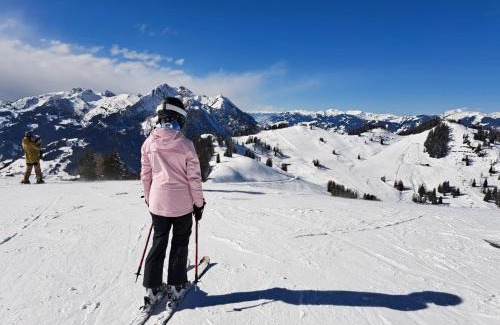 Schwarzach im Pongau Apartment | Appartement Tauernlife