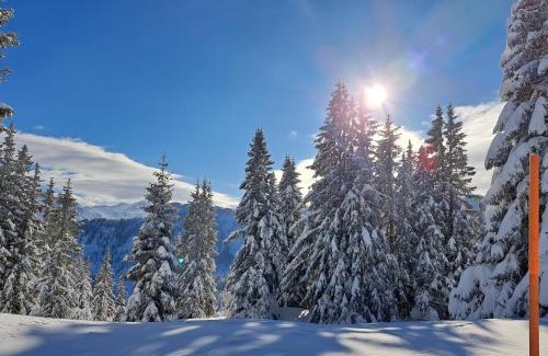 Schwarzach im Pongau Apartment | Appartement Tauernlife